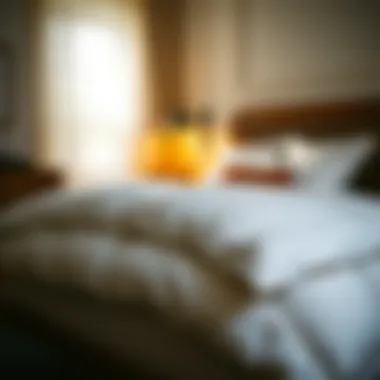 Guide to care techniques for down comforters