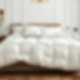 Luxurious white queen down comforter on elegant bedding
