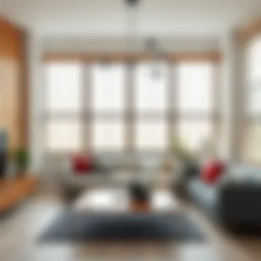 Variety of 35 x 82 blinds showcasing different styles