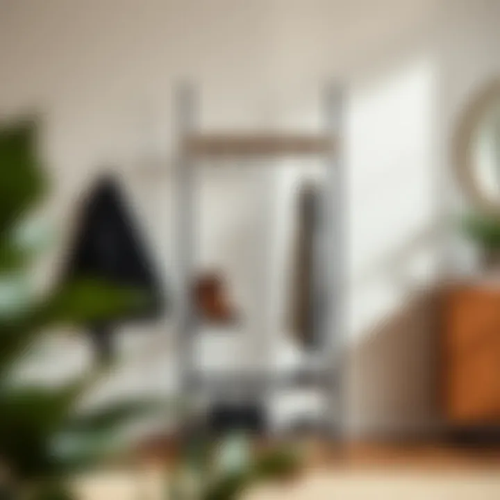 Contemporary design showcasing a combination of materials in coat and shoe rack