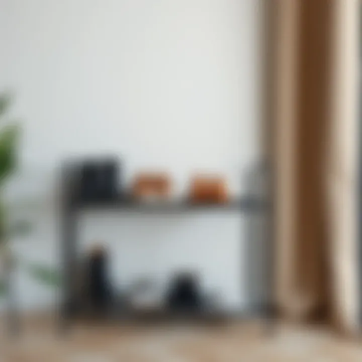 Stylish metal shoe rack with modern aesthetics