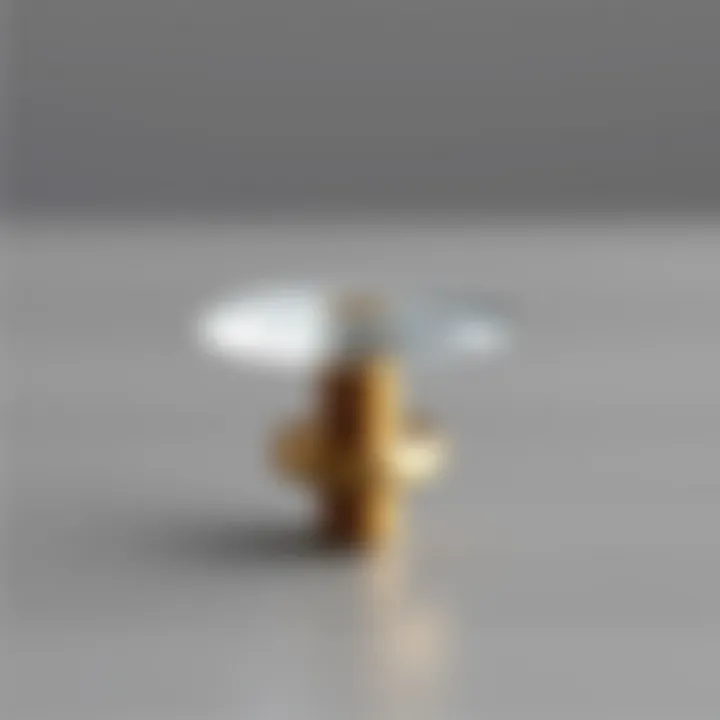 Elegant two-screw cabinet knob design