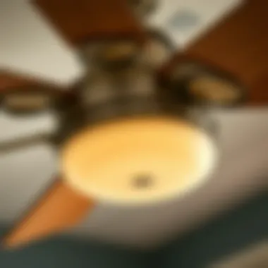 Adjustable Lighting Features on Ceiling Fan Close-up of adjustable lighting features on a ceiling fan