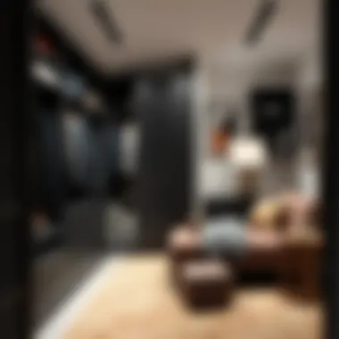 Innovative Storage Solutions in a Modern Closet Modern closet design showcasing efficient storage solutions