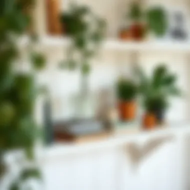 Stylish arrangement of books and plants on a distressed white shelf