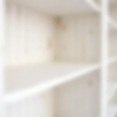 Close-up of the texture and finish of a distressed white shelf