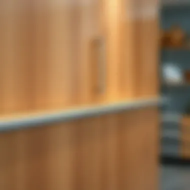 Materials and Finishes of Storage Cabinet Detailed view of cabinet materials and finishes