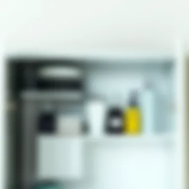 Interior view of a lighted medicine cabinet showcasing storage options