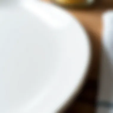 Aesthetic Details of Flat Dinner Plates Close-up view of a flat dinner plate with lip, highlighting its aesthetic details