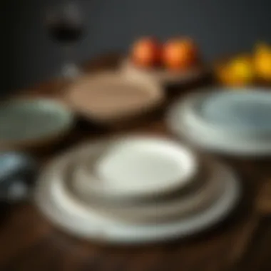 Material Diversity in Dinner Plate Design Variety of materials used for flat dinner plates with lip, emphasizing versatility