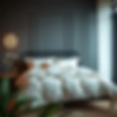 Maintenance Tips for Long-lasting Comforter Sets Tips for maintaining a full size bed comforter set displayed aesthetically