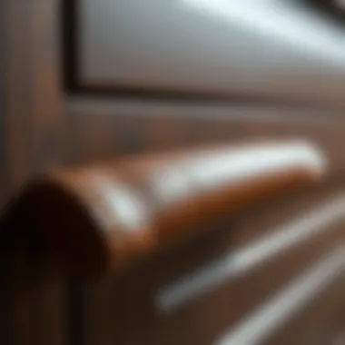 Elegant leather cabinet pull showcasing texture and style
