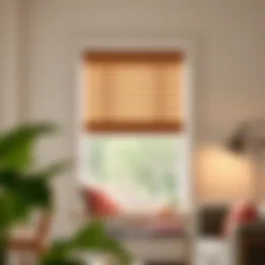A beautifully styled window featuring Levolor wood shades