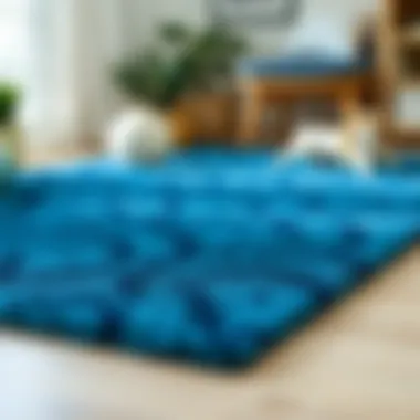 Variety of blue rug styles suitable for dormitories