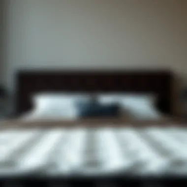 Luxurious King Size Mattress Luxurious king size mattress showcasing premium materials