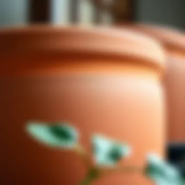 Close-Up of Terracotta Pot Texture A close-up view of terracotta pot texture emphasizing its natural material properties