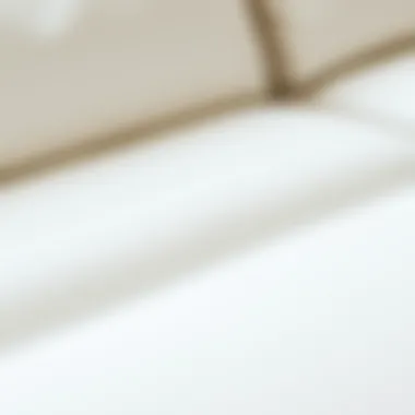 Close-up of white leather texture showcasing quality