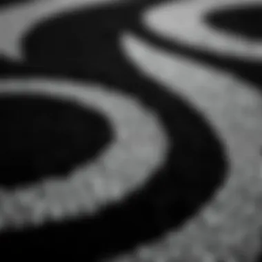 Close-Up View of Black and Grey Circle Rug Texture Close-up view of texture and design of a black and grey circle rug