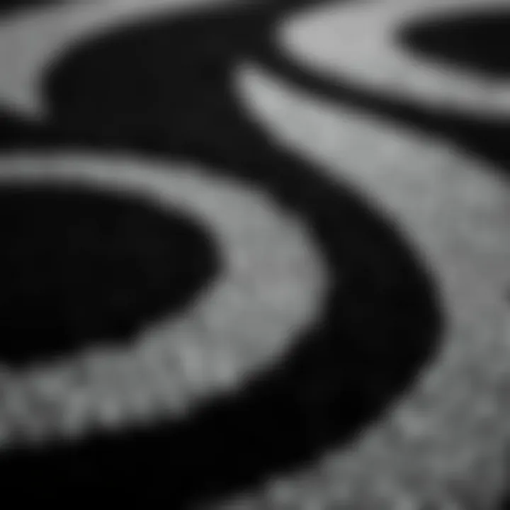 Close-Up View of Black and Grey Circle Rug Texture Close-up view of texture and design of a black and grey circle rug