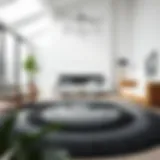 Elegant black and grey circle rug in a minimalist living room setting