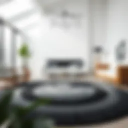 Elegant black and grey circle rug in a minimalist living room setting