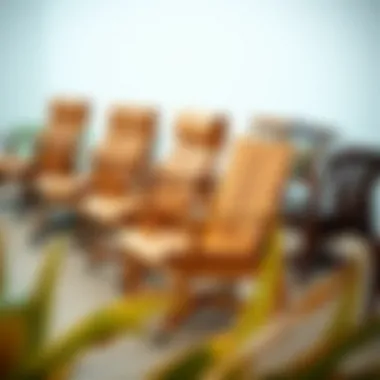 Variety of Wooden Lounge Chairs with Wheels A selection of wooden lounge chairs with wheels showcasing various finishes and designs