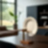 Sleek adjustable plate holder showcasing modern design