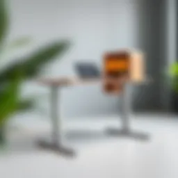 Modern adjustable standing desk with elegant storage solutions