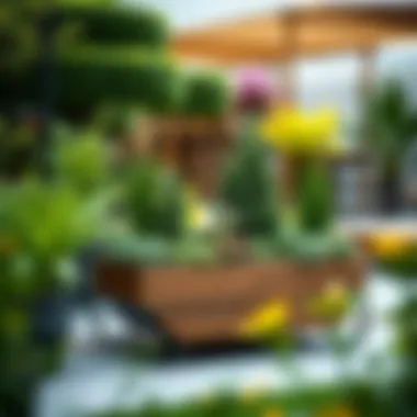 Maximizing Space and Functionality with Innovative Design Innovative design of a 10 x 10 planter that maximizes space and functionality