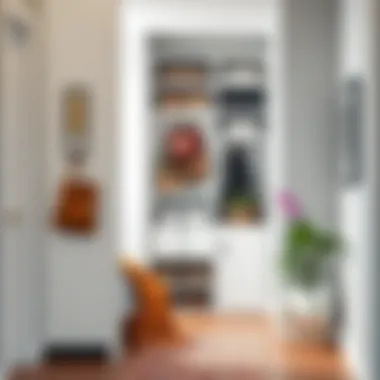 Innovative design ideas for narrow entryway storage