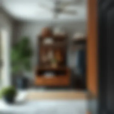 Organized entryway showcasing functional storage solutions