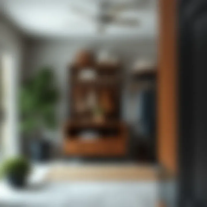 Organized entryway showcasing functional storage solutions