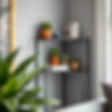 Modern metal corner shelf with succulents and books