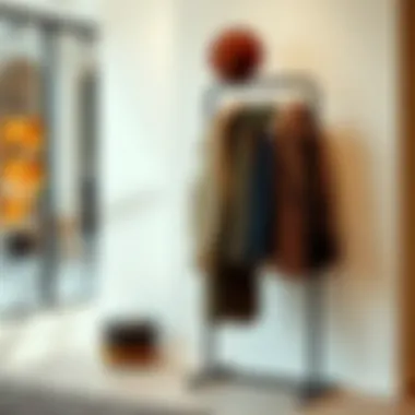 Stylish coat rack displaying a curated selection of outerwear