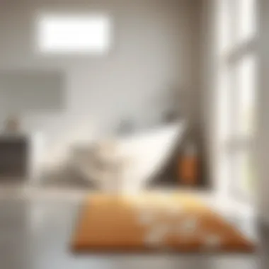 Elegant Thin Bathroom Rug in Modern Setting Elegant thin bathroom rug in a modern bathroom setting