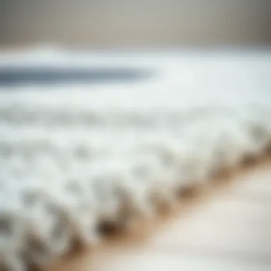 Close-up of Rug Fabric Texture Close-up of fabric texture of a thin bathroom rug