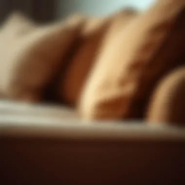 Close-up of tan fabric texture on a sofa