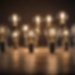 Different types of light bulb sockets showcasing their unique designs.