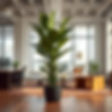 A large faux plant as a focal point in a contemporary office space