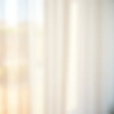 Close-up of sheer fabric allowing soft light to filter through