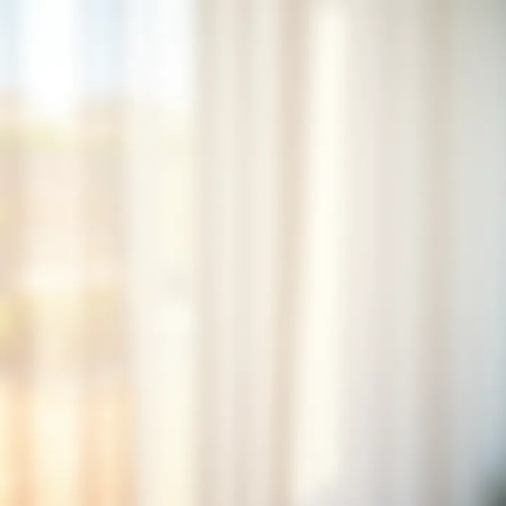 Close-up of sheer fabric allowing soft light to filter through