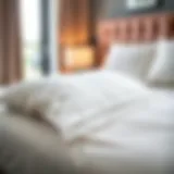 Sophisticated Design of Twin Deep Pocket Fitted Sheets Elegant twin deep pocket fitted sheet showcasing unique design