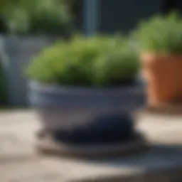 Elegant ceramic garden pot saucer with decorative design